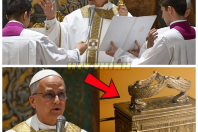 😱 Pope Leo XIV Shocks the World: Newly Found Artifact MAY Be Linked to the Ark of the Covenant — What He’s Revealed Will STUN You! 😱 In a statement that is leaving the world breathless, Pope Leo XIV has declared that a newly discovered artifact could be the key to unlocking the greatest religious mystery of all time — the Ark of the Covenant. This stunning revelation has experts scrambling to uncover the truth behind the discovery. Could this be the moment history changes forever? The truth is more explosive than you can imagine.👇