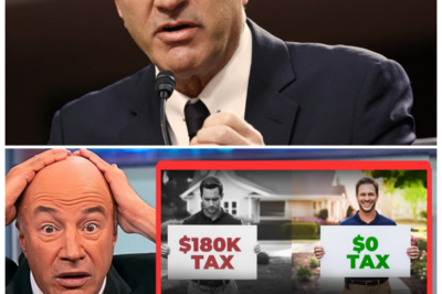 🐘 “Kevin O’Leary Warns: Avoid This HUGE Tax Mistake When Passing Your Home to Your Kids! 💰”  In a crucial advisory, Kevin O’Leary reveals a significant tax pitfall that many parents face when transferring their homes to their children. “When it comes to inheritance, one misstep can cost you thousands!” What essential strategies does O’Leary recommend to ensure a smooth transition and minimize tax liabilities? 👇