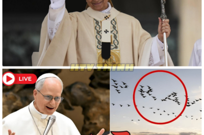 💥 Pope Leo XIV Blesses the Square, and a Flock of Birds Forms a Word in the Sky — The Meaning Will Shock You! 💥 As Pope Leo XIV blessed the square, something truly divine happened. A flock of birds took to the sky, and in a breathtaking moment, they formed a word that seemed to be a message from above. What could this cosmic sign mean, and why is it leaving the Vatican in awe? This shocking celestial event is more than just a spectacle — it’s a message the world can’t ignore. 👇