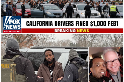 FBI & ICE Strike on Somali Cartel in Minneapolis — Millions in Drugs Seized, Major Arrests