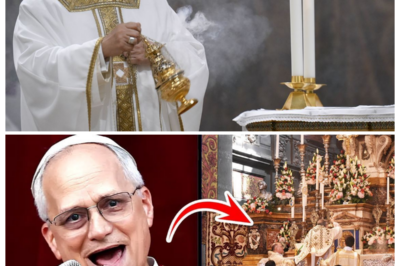 🔥 Shock in Rome: Pope Leo XIV Breaks His Silence on the Traditional Mass, Sending Traditionalists into Hope and Progressives into Damage Control With biting relish, the lead suggests the statement landed like incense on a flame, soothing some while choking others, as bishops scramble to interpret tone, emphasis, and intent, proving that one papal paragraph can still shake centuries of certainty 👇