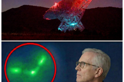 🐘 3I/ATLAS Signal Scan Results Are IN – Prepare to Be AMAZED by What Scientists Found! 🔍 “When science meets the unknown, the possibilities are endless.” The results from the 3I/ATLAS signal scan have just been released, and they are nothing short of remarkable. With findings that could alter our understanding of cosmic signals and phenomena, researchers are poised to dive deeper into the data. Stay tuned for an exploration of these incredible discoveries! 👇