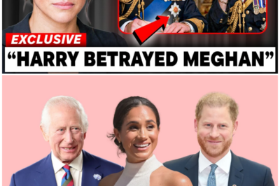 Meghan’s Fury Erupts After Harry’s Secret “Highgrove Accord” Deal with King Charles Exposed!