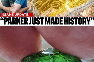 Parker Schnabel’s Biggest Gamble Yet Pays Off With a Jaw-Dropping $1. 6 Million Gold Haul