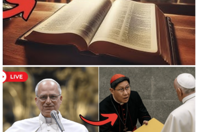 🕊️ VATICAN VAULT BOMBSHELL: Cardinal Tagle Slid a Sealed File Across the Desk to Pope Leo XIV and Whispered “You Weren’t Supposed to See This,” Triggering a Silence So Loud It Shook the Apostolic Palace — The narrator purrs with disbelief as aides recall the Pope’s smile fading, fingers tightening, and a document so radioactive it allegedly rewrote loyalties in real time, because whatever lived inside that file wasn’t just information, it was a loaded confession capable of turning saints into suspects and allies into liabilities 👇