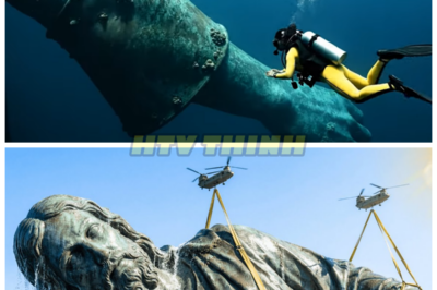 Shocking Discovery: 700-Year-Old Colossal Jesus Statue Resurfaces from the Deep Sea — The Truth Behind the Find 💥 In a stunning turn of events, a massive 700-year-old statue of Jesus Christ has been pulled from the ocean’s depths, defying all odds. This extraordinary find has experts reeling—what secrets does this sacred relic hold? The restoration of this colossal statue is a miracle in itself, and the implications of its discovery are more profound than anyone could have imagined. Prepare for a historic revelation that could alter religious history. 👇