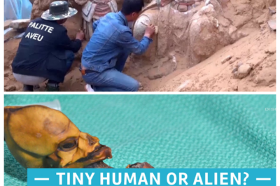 THIS Archaeological Discovery Could REWRITE History!