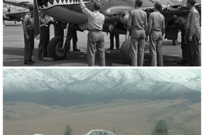 When 64 Japanese Planes Attacked One P-40 — This Pilot’s Solution Left Everyone Speechless hp