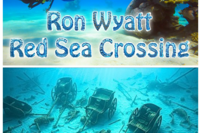 Ron Wyatt And The Red Sea Crossing: The Search For Pharaoh’s Chariots What If Pharaoh’s Army Was Really Trapped Beneath The Waves For Thousands Of Years—And One Man Accidentally Found The Proof No One Wanted To Believe? A Lone Explorer Claimed He Discovered Chariot Wheels On The Ocean Floor—Click The Article Link In The Comment To See The Evidence That Still Divides The World.