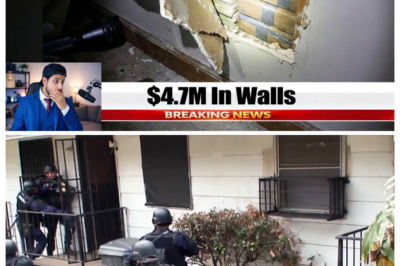 ICE & FBI STORM M1nneap0l1s — $4.7 M1ll10n, 23 C0ca1ne Br1cks & S0mal1 Senat0r EXPOSED