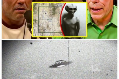Bob Lazar’s Most Shocking UFO Revelations on The Joe Rogan Podcast
