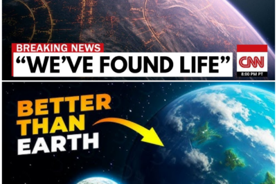 🦊 SHOCKING COSMIC ALERT: JAMES WEBB FINDS A PLANET WITH A “99.9% CHANCE OF LIFE”—AND SCIENTISTS ARE STUNNED 🌍🚨