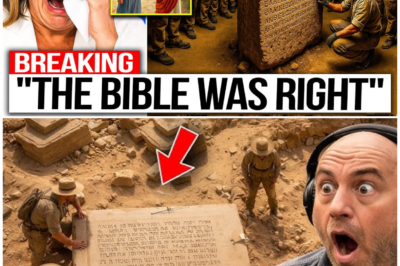 🦊 ARCHAEOLOGISTS STUNNED: WHAT JESUS TOLD PETER AFTER THE RESURRECTION WAS NEVER MEANT FOR THE PUBLIC ✝️⚠️