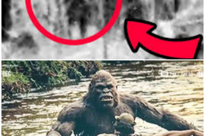 🦊 SHOCKING BIGFOOT FOOTAGE LEAKED: EXPERTS DENY IT—UNTIL THIS TERRIFYING DETAIL CHANGES EVERYTHING 👣