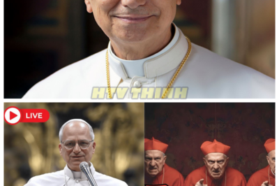 🙊 Divisions Within the Faith: Pope Leo XIV’s Urgent Synod Sparks Chaos 💥🕊️  In an unprecedented move, Pope Leo XIV has summoned an urgent virtual synod, igniting a firestorm of debate and division among the Catholic faithful. As spiritual dryness and emotional fatigue plague believers worldwide, the pope’s call for unity arrives at a critical moment, where the ticking clock of faith hangs in the balance. Participants from across the globe connect, each carrying their burdens of doubt and fear, seeking clarity in the chaos of modern life. Amidst the tension, the pope reveals profound truths about the power of silence and inner stillness, urging the faithful to reclaim their connection with God. But as deep-seated divisions emerge during the discussions, one haunting question lingers: can the Church truly heal its fractures, or is this synod merely a bandage on a gaping wound? 👇