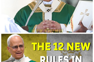 🙊 Unholy Edicts: The Dark Transformation of Faith and Fear in Modern Worship 🔪⏳  In a world where ancient rituals clash with contemporary beliefs, a small-town priest discovers a hidden manuscript detailing twelve shocking new rules issued by the enigmatic Pope Leo XIV. As he grapples with the implications of these edicts, a series of bizarre and terrifying events unfold within his community, threatening to unravel the very fabric of faith itself. With a ticking clock counting down to the Pope’s unexpected visit, the priest must confront his own beliefs and the chilling consequences of obedience. As chaos reigns and dark secrets are unearthed, he is left questioning: what price will he pay for the truth, and who will survive the night of reckoning? 👇