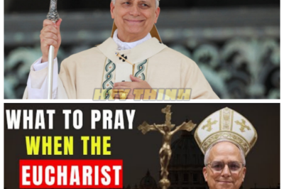 🙊 Whispers of the Eucharist: Secrets That Could Shatter Faith Forever 🔪⏳  In a small town where tradition reigns supreme, the elevation of the Eucharist during Mass becomes a harbinger of chaos when a hidden teaching from Pope Leo XIV is revealed. As congregants are urged to whisper their deepest prayers in the sacred silence, a chilling transformation begins to unfold—one that could either heal their souls or plunge them into darkness. With the Pope’s unexpected visit looming, the community faces a race against time to decipher the true power of their whispers and the consequences of their faith. As secrets unravel and tensions rise, they must confront a haunting question: what happens when the very act of worship becomes a weapon against them? 👇