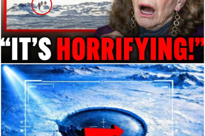 After 30 Years, Linda Moulton Howe Finally Admits What She Saw on Antarctica