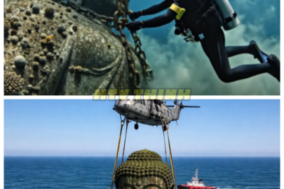 🙊 Unearthing the Divine: The Resurrection of a 125-Year-Old Buddha Statue 🔍🕊️  In a breathtaking journey that blurs the lines between history and spirituality, a team of intrepid restorers embarks on a mission to revive a sacred Buddha statue that lay submerged for 125 years. As they delve into the depths of the ocean, they unearth not just a relic, but a powerful symbol of faith and resilience. With time running out and the statue’s fragile condition threatening its very existence, the team must navigate treacherous waters—both literally and metaphorically. As they confront the challenges of restoration, they uncover secrets that could change the course of history, raising the haunting question: what dark forces may be awakened by the revival of this timeless masterpiece? The stakes are high, and the clock is ticking as they race against time to restore not just a statue, but a piece of humanity’s spiritual heritage. 👇