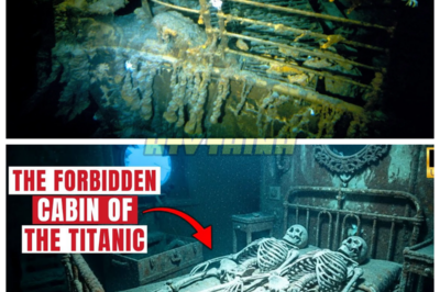 🙊 Secrets Beneath the Waves: The Titanic’s Hidden Cabin Revealed 🌊🔍  In a chilling exploration of one of history’s greatest maritime tragedies, a team of researchers uncovers a hidden cabin aboard the RMS Titanic, a space long thought lost to the depths of the ocean. As they delve into this untouched sanctuary, they unearth not only remnants of luxury but also haunting clues that hint at the desperate lives of those who sought refuge here on that fateful night. With time running out and the weight of history pressing down, the team races to piece together the stories trapped within the cabin’s walls, revealing secrets that could forever alter our understanding of the Titanic’s final moments. As they confront the echoes of the past, a chilling question looms: what dark truths lie hidden in the shadows of this forgotten space, and will they be able to escape its grasp? 👇