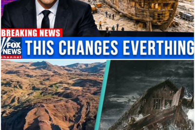 Scientists Finally Enter Noah’s Ark in Turkey — What They Found Will Shock You