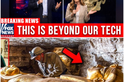 New Maya Skeleton Sequencing Revealed a Genetic Marker No Human Should Have