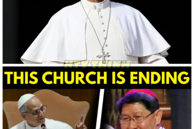 🙊 The Vatican Confrontation: Pope Leo XIV’s Defiant Reply Shakes the Church 🔍⚡  In a dramatic showdown behind the sacred walls of the Vatican, six cardinals confront Pope Leo XIV with explosive accusations of violating sacred law, igniting a tension that threatens to unravel the very fabric of the Church. As the Pope stands accused, he responds not with defensiveness but with a fiery conviction that leaves his accusers visibly shaken and the Church on the brink of upheaval. This is more than a clash of Canon Law; it’s a battle for the soul of the Church itself, where authority is challenged and the call for reform echoes through the centuries. With the clock ticking and the stakes rising, can one man’s unwavering belief break through the silence of tradition, or will it lead to a schism that forever alters the path of faith? In a burning house, would you follow the rules—or run to save lives? 👇