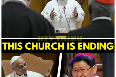 🙊 Faith Under Fire: The Dark Secrets of Pope Leo XIV’s Papacy Revealed 🔪🗝️  In a shocking turn of events, Pope Leo XIV finds himself at the center of a scandal that threatens to unravel the very fabric of the Catholic Church, as Cardinals accuse him of grave transgressions against sacred law. As tensions rise within the Vatican, the Pope’s response not only leaves the accusers shaken but also raises questions about the true nature of faith and authority. With the clock ticking and the stakes higher than ever, Leo must confront his own beliefs while navigating the treacherous waters of ecclesiastical politics. Is his unwavering faith strong enough to withstand the storm, or will the weight of these accusations lead to a crisis of belief? As the drama unfolds, one chilling question lingers: who can truly be trusted in the battle for the soul of the Church? 👇