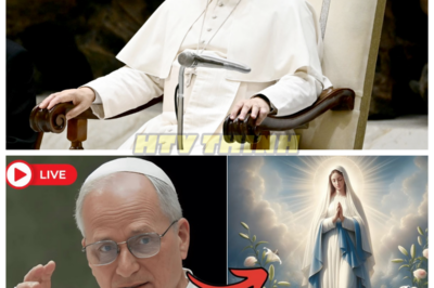 🙊 The Vatican’s Reckoning: Pope Leo XIV’s Controversial Shift on Mary 🔥⛪  In a shocking and unprecedented sermon, Pope Leo XIV has ignited a firestorm of debate by commanding the faithful to abandon their prayers to the Virgin Mary, stripping her of the titles “Co-Redemptrix” and “Mediatrix of All Graces.” This explosive declaration threatens to fracture the very foundation of Catholic devotion, leaving millions of believers in turmoil as they grapple with their faith. As the Pope calls for a radical return to “Solus Christus,” the clock ticks on centuries of tradition, and the Church faces an existential crisis. Will this bold move lead to a spiritual awakening or plunge the Church into chaos? The future of Catholicism hangs by a thread, and the answers may shatter everything they once believed. 👇