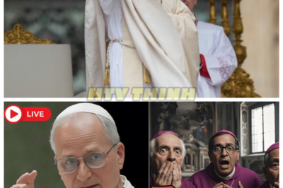 🙊 Panic in the Pews: Pope Leo XIV’s Shocking Revelation from Mary Sparks Chaos 🔥🔑  In a gripping sermon that has sent shockwaves through the Catholic Church, Pope Leo XIV unveils a dire warning from Mary, igniting panic among believers already grappling with spiritual fatigue. As the faithful struggle to hear God’s voice amidst the clamor of modern life, the Pope’s call to embrace silence as a source of strength becomes a desperate plea for renewal. With emotions running high and faith hanging by a thread, can this revelation lead to a transformative awakening, or will it plunge the Church into deeper chaos? As the clock ticks and tensions rise, the future of faith is uncertain, leaving everyone to wonder: what dark truths lie ahead? 👇