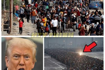 🙊 The End is Near: A Nation on the Brink of Despair and Revelation 🔍⚡  In a chilling turn of events, America faces its greatest tragedy yet, as a catastrophic incident shakes the very foundation of society, leaving millions in a state of shock and disbelief. Set against a backdrop of escalating tensions and societal unrest, the clock is ticking as the nation grapples with the aftermath and seeks answers to the unthinkable. As families are torn apart and communities begin to unravel, one question looms larger than life: what dark forces are at play, and are we truly prepared for the consequences? With faith and hope hanging by a thread, the personal cost of this tragedy threatens to reveal secrets that could change everything. Will the truth come to light before it’s too late, or will despair consume us all? 👇