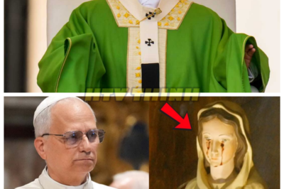 🙊 The Weeping Virgin: A Miracle or a Sinister Illusion? 🔪🗝️  In a sacred basilica in Rome, a statue of the Virgin Mary inexplicably begins to weep blood during a solemn mass, captivating three hundred witnesses and igniting a media frenzy. As cameras roll and faith hangs in the balance, newly elected Pope Leo XIV faces an agonizing choice: intervene and risk the wrath of believers or let the spectacle unfold. With scientific investigations underway and the Vatican’s vague responses leaving many unsatisfied, the clock ticks down on the Pope’s decision. Is this a divine sign or a manipulation of faith? As the world watches, the question looms: what price must we pay for belief, and how far will we go to seek the truth? 👇