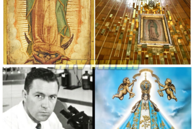 🙊 The Unfathomable Miracle: Secrets of the Enduring Marian Statue 🔍⏳  In the heart of Mexico lies a tale shrouded in mystery and reverence—the Miracle of Our Lady of San Juan de los Lagos, a story that defies the passage of time and challenges the very fabric of reality. When a fragile statue, crafted from organic materials, survives centuries of war and persecution, the faithful flock to witness its enigmatic power. But as the legend of a miraculous resurrection in 1623 resurfaces, questions arise: what secrets does the statue hold, and why does it continue to inspire millions of pilgrims? As scientists and skeptics delve into the inexplicable preservation of this religious icon, a ticking clock looms over the investigation, revealing the personal sacrifices made by those who dare to believe. Will the truth behind this Marian miracle shatter the boundaries of faith, or will it remain an unsolved enigma, haunting the hearts of those who seek answers? 👇