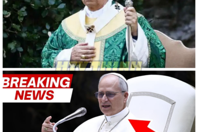 🙊 Unraveling Shadows: The Unexplainable Resignation of Pope Leo XIV 🔍🔪 In a shocking turn of events, Pope Leo XIV is forced to resign, leaving the Vatican trembling with uncertainty and fear. As dark forces seem to conspire against him, the Pope grapples with an unexplainable phenomenon that threatens to unravel the very fabric of the Church. With time running out and the faithful watching closely, he must confront the secrets hidden within the Vatican’s ancient walls. Will he uncover the truth behind his resignation, or will he become another victim of the shadows that haunt the papacy? As the clock ticks, the question looms: what unseen forces are at play in this monumental crisis? 👇