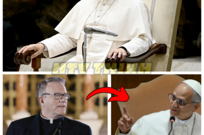🙊 The Theological Showdown: Pope Leo XIV vs. Bishop Barron in a Battle of Faith 🔍⚔️  When Pope Leo XIV publicly questions Bishop Robert Barron’s theological teachings, a potential heresy investigation spirals into an unexpected confrontation that captivates the Catholic Church. As these two influential leaders engage in a high-stakes dialogue, what begins as a clash of convictions transforms into a profound exploration of faith, intellect, and respect. With the clock ticking and the eyes of the world upon them, both men must navigate their differences without succumbing to division, risking not just their reputations but the very fabric of the Church. As their intellectual disagreement evolves, the stakes rise—can they uncover a path to unity, or will their clash leave the Church forever fractured? In a world where belief is often tested, the question lingers: can dialogue triumph over dogma, or will it lead to unforeseen consequences? 👇