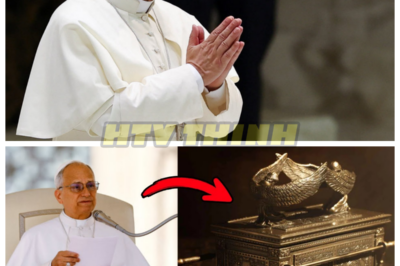 🙊 The Vatican’s Shocking Revelation: Pope Leo XIV Unveils the Ark of the Covenant’s True Location 🗝️⚡ In an explosive announcement that has sent shockwaves through the religious world, Pope Leo XIV confirms the long-rumored location of the Ark of the Covenant, igniting a frenzy of curiosity and fear among believers and skeptics alike. As the Vatican trembles under the weight of this revelation, the Pope faces a ticking clock, knowing that the truth could either unite the faithful or unravel centuries of doctrine. With powerful forces eager to seize the Ark for their own purposes, the stakes have never been higher. What ancient secrets lie within the Ark, and how will its discovery challenge our understanding of faith and history? The world holds its breath, waiting for the next move in this high-stakes game of power and belief. 👇