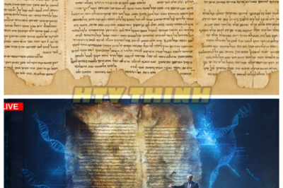 🙊 Ancient DNA Unveils Secrets of the Dead Sea Scrolls: A Hidden Truth Awaits 🔍📜  In a groundbreaking revelation, scientists have harnessed ancient DNA to unlock the mysterious origins of the Dead Sea Scrolls, a discovery that could redefine our understanding of history and faith. As researchers delve into the genetic makeup of these ancient texts, they uncover tantalizing clues about the people who wrote them, their beliefs, and the turbulent world they inhabited. But as the clock ticks down on this momentous find, dark forces emerge, determined to suppress the truth at any cost. With the integrity of historical scholarship hanging in the balance, will the researchers be able to unveil the scrolls’ secrets before they are silenced forever? As the shadows close in, the question remains: what truths lie hidden within these ancient pages, and who will pay the ultimate price for their revelation? 👇