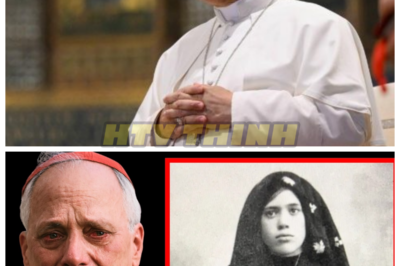 🙊 Pope Leo XIV Unveils the Final Prophecy of Fatima: Shocking Revelations Await 🔍⚡  In a world already fraught with tension and uncertainty, Pope Leo XIV has uncovered the last prophecy of Fatima, a revelation that threatens to shake the very foundations of the Catholic Church. As whispers of deception and hidden truths swirl around the Vatican, the Pope’s disclosure could ignite a spiritual crisis among millions of believers. With time running out and the weight of history pressing down, the faithful are left to grapple with the implications of this prophecy: is it a divine message of hope or a dire warning of impending doom? As the Church braces for the fallout, one haunting question lingers: what other secrets have been concealed within the shadows of the Vatican? 👇