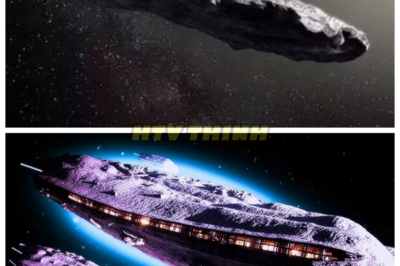 🙊 Lights in the Dark: The Terrifying Signals from 3I/ATLAS 🌠🔒  Prepare for a cosmic thriller as the James Webb Space Telescope uncovers a chilling mystery beneath the surface of 3I/ATLAS, where artificial lights pulse with an eerie precision. As researchers analyze the data, they confront the terrifying possibility that these signals could be a form of communication from an unknown intelligence, challenging everything we thought we knew about life beyond Earth. With time running out and the world watching, the scientists grapple with the ethical implications of their findings, fearing that revealing the truth could unleash chaos. What dark secrets lie within the cosmos, and are we truly ready to face the consequences of our discoveries? 👇