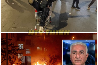 🙊 Exiled Iranian Crown Prince’s Dire Plea to Trump: Seal the Legacy Before It’s Too Late 🔍⚔️  In a gripping and unprecedented address, exiled Iranian Crown Prince Reza Pahlavi delivers a haunting message to former President Donald Trump, urging him to “seal this legacy” as protests surge across Iran and tensions escalate with the regime. With the Iranian people facing an oppressive internet blackout and the threat of violence looming, Pahlavi’s call to action resonates like a ticking clock, compelling the world to pay attention. As he outlines his vision for a democratic transition and free elections, the stakes rise higher—will the United States stand by as a pivotal moment in history unfolds, or will silence reign? With the regime clinging to power and the cries for freedom growing louder, the question remains: can the legacy of democracy be preserved, or will it be extinguished forever in the shadows of tyranny? 👇