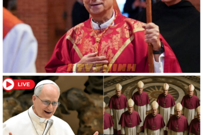 🙊 Pope Leo XIV’s Shocking Decision: The Collapse of Catholic Tradition Begins 🔥⏳  In a breathtaking turn of events, Pope Leo XIV has dismantled a cornerstone of Catholic tradition, igniting a firestorm of controversy that threatens to unravel the very fabric of the Church. As cardinals scramble to contain the fallout, the faithful are left grappling with a profound spiritual crisis. Amidst a world filled with noise and distraction, the Pope’s radical call for inner stillness and divine connection poses a haunting question: can the Church survive this upheaval, or will it fracture under the weight of its own traditions? With time running out for the Church to reclaim its relevance, believers must confront their own spiritual fatigue and find strength in the silence before God. Will they rise to the challenge, or will they succumb to the chaos surrounding them? 👇