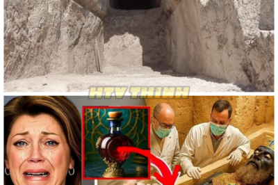 🙊 Unearthing Solomon’s Tomb: Secrets of the Ancient World Revealed 🔑🌌  In a groundbreaking discovery beneath the ancient city of Jerusalem, archaeologists have unearthed hidden tunnels and golden treasures believed to be linked to the legendary King Solomon himself. As the seal of a tomb that lay dormant for 7,000 years is finally broken, a team of explorers confronts not only the thrill of uncovering lost history but also the ominous symbols and inscriptions that suggest a darker truth. With time running out and pressure mounting from rival factions eager to claim the treasures for themselves, the researchers must race against the clock to decipher the cryptic messages before they unleash forces beyond their control. What secrets lie within the depths of Solomon’s tomb, and will the knowledge gained bring enlightenment or doom? The answers await those brave enough to venture into the shadows. 👇
