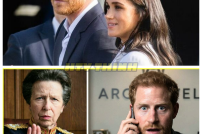 🙊 The Sussex Crisis: Princess Anne Blocks Harry’s $16 Million Bailout 🔪💔  In a shocking turn of events, Buckingham Palace has gone into lockdown as the gravity of Prince Harry’s catastrophic $16 million debt crisis is revealed, prompting Princess Anne to take a historic stand. Officially declaring the Sussexes a financial liability, she has cut off the “Bank of Pa” forever, leaving Harry and Meghan to face the consequences of their extravagant lifestyle alone. With a looming $9.5 million mortgage balloon payment and mounting legal fees draining their resources, the couple finds themselves racing against time to salvage their future. As the brutal “St. James Protocol” and a leaked “Commercial Toxicity Report” expose the total collapse of their Montecito dreams, will Harry and Meghan find a way to turn the tide, or is this the final nail in their royal coffin? 👇