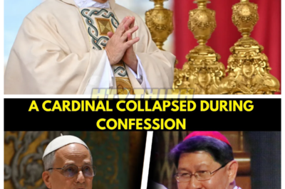 🙊 A Cardinal’s Collapse: The Dark Secrets of the Vatican Unveiled 🔥⛪  In a chilling dawn within the sacred confines of Vatican City, a cardinal collapses mid-confession, unleashing a wave of buried truths that threaten to shatter the very foundation of the Catholic Church. As Pope Leo XIV grapples with this harrowing event, a decades-old prophecy resurfaces, hinting that the reckoning has already begun. With time running out and the weight of institutional silence pressing down, the Pope must confront a haunting pattern of secrecy and fear that has long plagued the Church. As the walls close in, the question looms: when the truth could destroy everything you hold dear, will you dare to reveal it? 👇