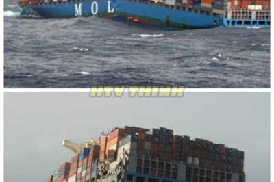 🙊 Lost Giants: The Race to Salvage the MOL Comfort’s Billion-Dollar Cargo 🚢💔 When the colossal container ship MOL Comfort succumbed to a catastrophic failure, it left behind a trail of mystery and loss that echoes through the maritime world. As advanced technology and human ingenuity collide in a desperate attempt to salvage the wreck, the team faces overwhelming challenges that test their resolve and sanity. With the ocean guarding its secrets, each dive reveals not only the physical wreckage but also the psychological toll of confronting the unknown. Can they reclaim what was lost, or will the depths keep their dark secrets forever hidden? 👇