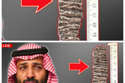 🙊 Revolutionary Find in Jerusalem: An Artifact That Could Change Everything 🔪🗝️ A stunning archaeological discovery in Jerusalem’s Valley of Hinnom reveals an ancient artifact that could alter the course of religious discourse forever, sending shockwaves through both Christianity and Islam. This 2,600-year-old relic, older than the Dead Sea Scrolls, has surfaced from centuries of concealment, raising urgent questions about its significance and the truths it may unveil. As experts rush to decode its messages, the implications for both faiths are staggering, igniting a race against time to understand what this means for millions worldwide. Will this find be a bridge to understanding or a catalyst for conflict? The answers lie buried within its ancient inscriptions, waiting to be uncovered. 👇