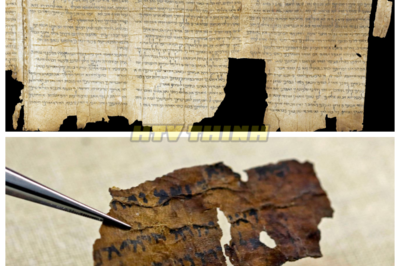 🙊 Unveiling the Unseen: The Dead Sea Scrolls’ Diagram Sparks Academic Chaos 📖⚠️  In a shocking turn of events, the latest imaging technology has unveiled a previously undetected diagram within the layers of the Dead Sea Scrolls, sending ripples of panic through the academic community. This hidden element, marked by its unsettling geometric precision, does not conform to known religious symbols or scribal traditions, raising urgent questions about its origin and purpose. As experts grapple with the implications, the race to understand this enigmatic diagram intensifies, revealing a ticking clock of scholarly reputation and potential historical upheaval. What truths are waiting to be uncovered, and will the answers challenge the very foundations of our understanding of ancient texts? 👇