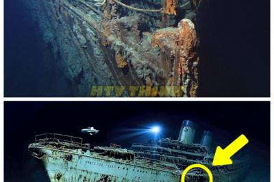 🙊 Titanic’s Hidden Secrets: New Discoveries Rewrite History Beneath the Waves 🌊🕵️  In a groundbreaking revelation, a team of scientists has unearthed astonishing new findings about the RMS Titanic, shattering the long-held narrative of her tragic sinking. Using advanced three-dimensional scanning technology, they have created a complete digital twin of the wreck, located nearly four thousand meters below the Atlantic’s surface, revealing secrets that could change everything we thought we knew. As the team delves deeper into the icy darkness, they uncover anomalies that suggest negligence and design flaws, igniting fierce debates about human error and hubris. With the clock ticking on our understanding of this maritime disaster, what truths will emerge from the depths, and how will they reshape our perception of history? 👇