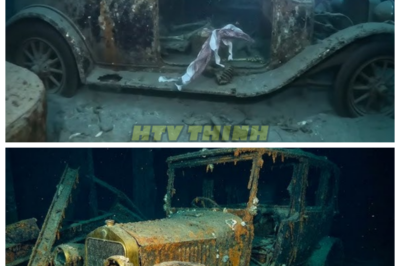 🙊 Titanic’s Dark Secrets: A Haunting Journey into the Abyss of Time 🚢💀  Embark on a spine-chilling journey into the heart of the Titanic’s engine room, where darkness conceals the remnants of a bygone era. This cinematic exploration unveils a world where cars lie abandoned, skeletons tell silent tales, and the very essence of tragedy lingers in the cold Atlantic waters. As the team uncovers the haunting traces of the past, they must grapple with the emotional toll of confronting a disaster that reshaped history. With time running out and the specter of the Titanic looming large, what other dark truths will emerge from the depths, and how will they challenge our understanding of this iconic shipwreck? 👇