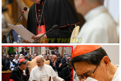 🙊 The Hidden Struggles of Pope Leo XIV: A Revelation That Shook the Vatican 🔍⏳  In a shocking turn of events, Pope Leo XIV kneels in humility, unveiling a profound spiritual struggle that threatens to unravel the very fabric of the Catholic Church. As whispers of a global movement, KneelAndRemember, spread from the favelas of Brazil to the cathedrals of Europe, the faithful are drawn into a whirlwind of surrender and reflection. What secrets lie behind the Pope’s unexpected display of vulnerability, and why are both the faithful and the faithless compelled to kneel once more? As shadows loom over the Vatican, the clock ticks down on the Pope’s revelations, prompting urgent questions about the hidden truths of leadership and faith. Will this moment of humility lead to a spiritual awakening, or will it expose deeper fractures within the Church’s foundation? 👇